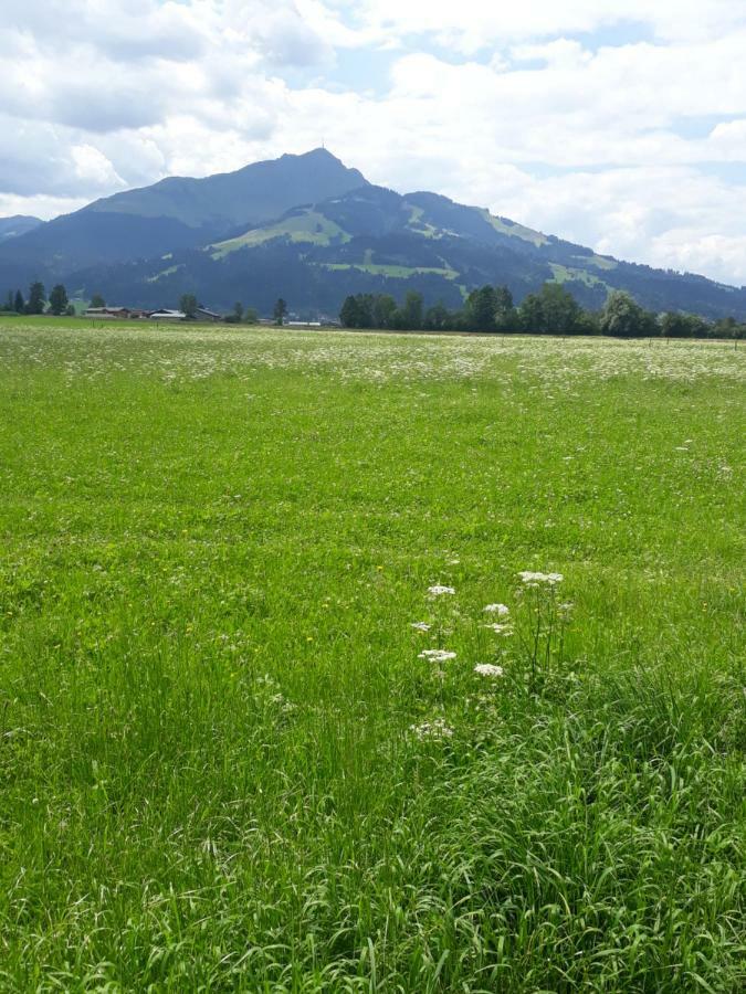 Appartement Müllner Kirchdorf in Tirol Exterior foto